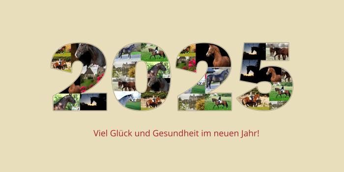 Frohes neues Jahr! - Trakehner Gestt Hmelschenburg