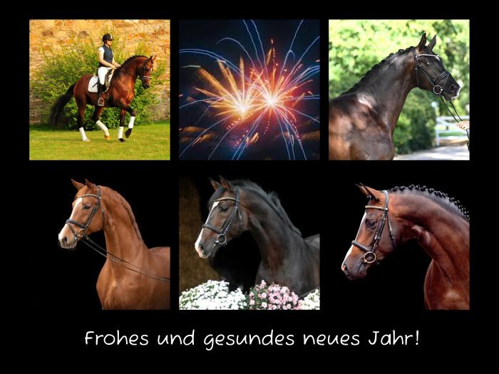 Frohes neues Jahr! - Trakehner Gestt Hmelschenburg