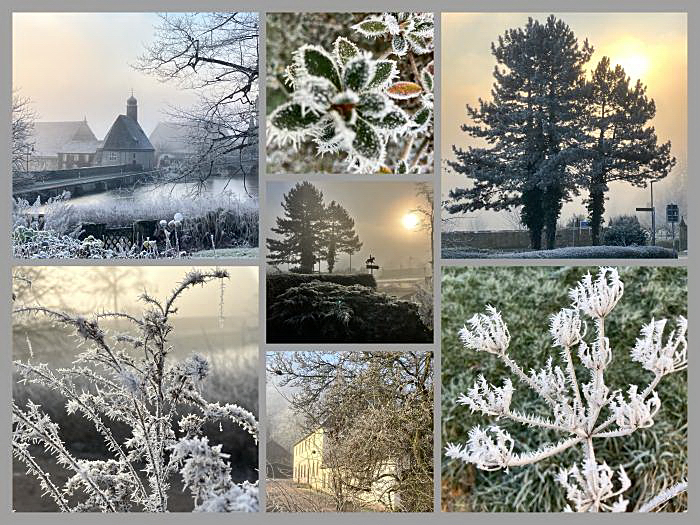Dauerfrost in Hmelschenburg im Februar 2025 - Trakehner Gestt Hmelschenburg