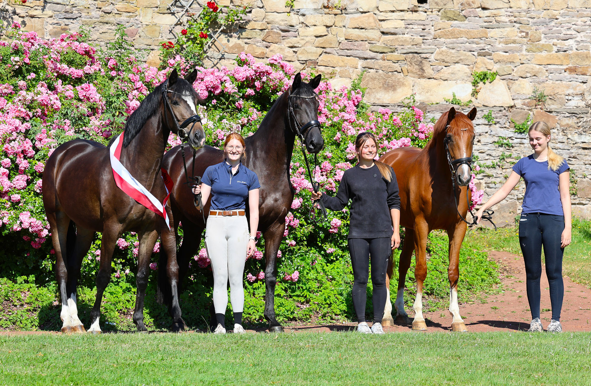 Prämienstuten der zentralen Stuteneintragung - Trakehner Gestüt Hämelschenburg - Foto Beate Langels
