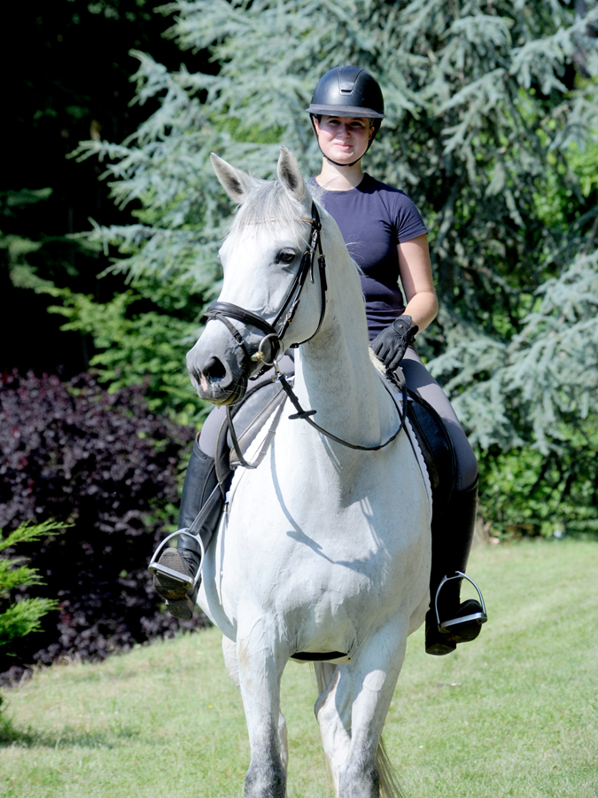 Trakehner Stute Tea Cup von Exclusiv u.d. Teatime v. Summertime - Foto: Beate Langels - Trakehner Gestt Hmelschenburg