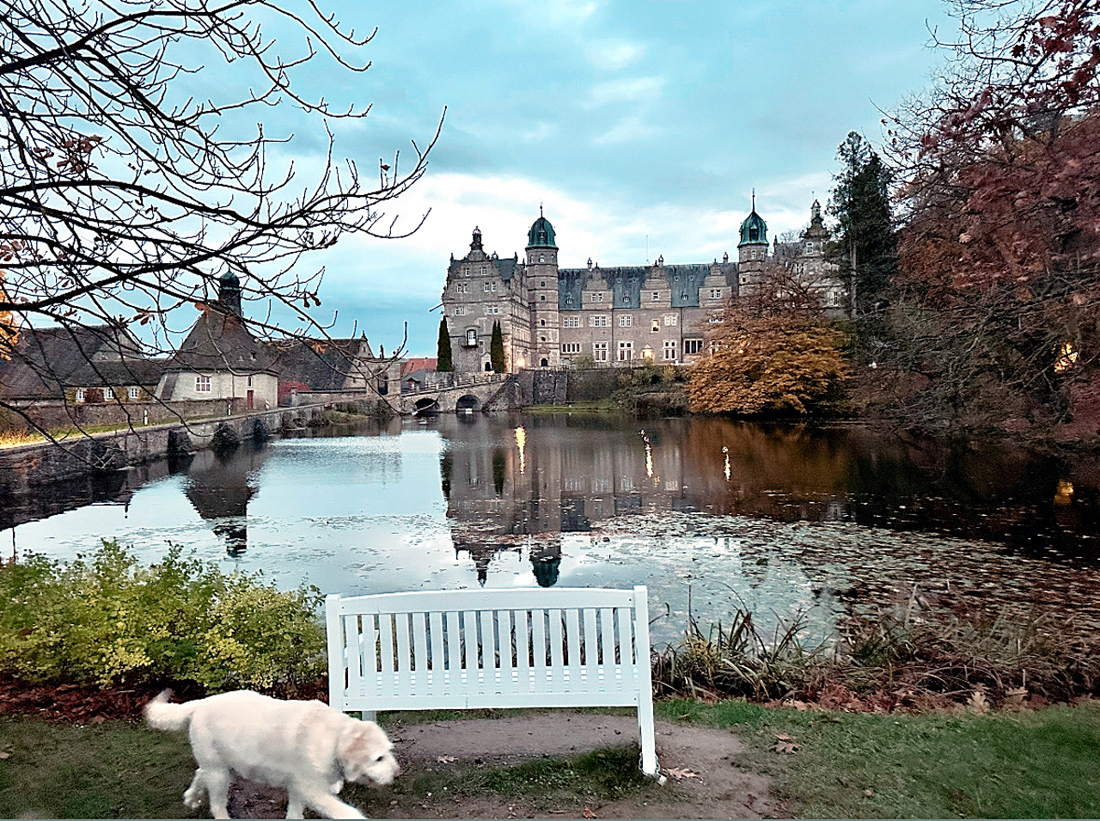 3. November 2025 - Trakehner Gestt Hmelschenburg - Foto Beate Langels 
