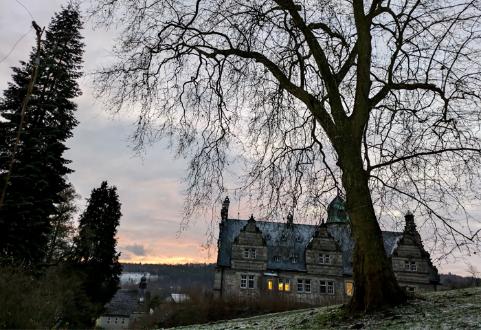 Hmelschenburg Anfang Januar 2025 - Trakehner Gestt Hmelschenburg