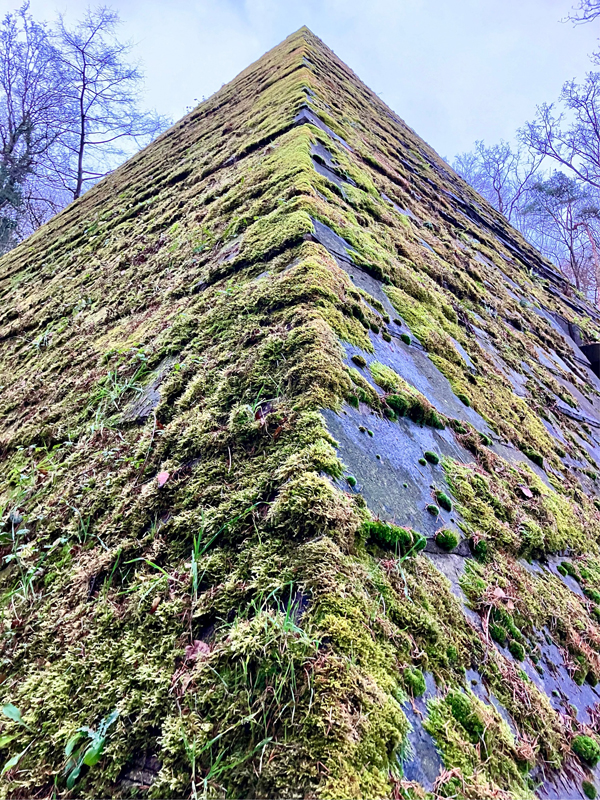 Hmelschenburg Anfang Januar 2025 - Trakehner Gestt Hmelschenburg