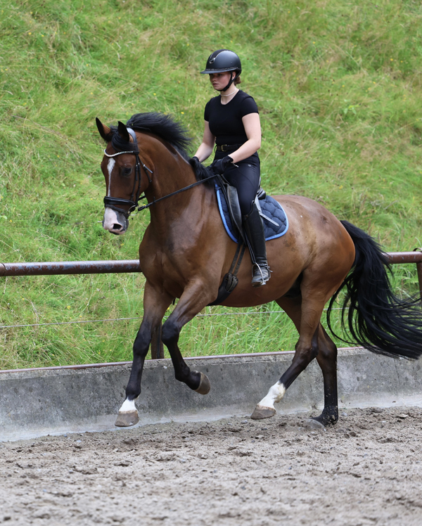 Tom Taylor und Sophia - Trakehner Gest�t H�melschenburg - Foto Beate Langels