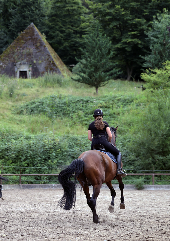 Kacyro und Sophia - Trakehner Gest�t H�melschenburg - Foto Beate Langels