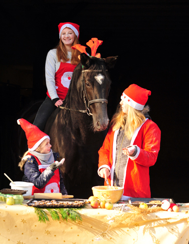 Ginger Rogers zu Besuch in der Weihnachtsbäckerei in Hämelschenburg - Beate Langels Gestüt Hämelschenburg