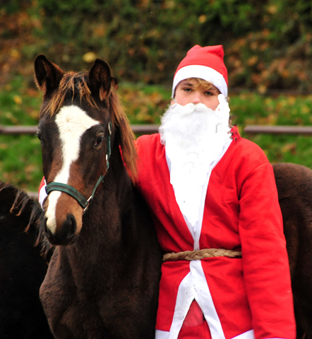6. Dezember 2019 - der Nikolaus ist zu Gast in Hämelschenburg - Trakehner Gestüt Hämelschenburg - Beate Langels