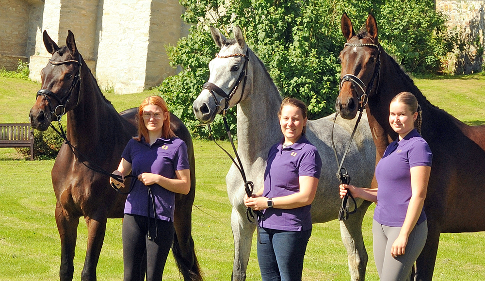 Unsere 3 Prmienanwrterinnen Valentiana, Tea at Five und Val d'Amour - Foto: Beate Langels - Trakehner Gestt Hmelschenburg