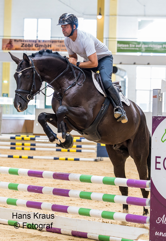 Trakehner Pr�mienhengst SUTHERLAND v. Saint Cyr u.d. Pr�mienstute Schwalbenland v. Touch my Heart - Foto: Hans Kraus - Trakehner Gest�t H�melschenburg - Beate Langels