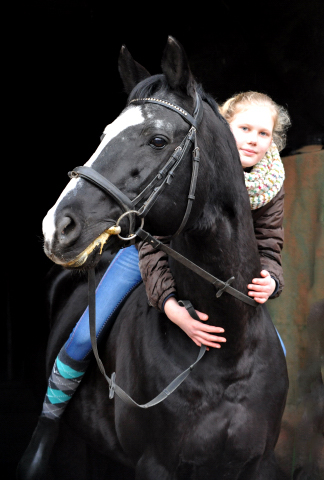 9. Februar 2016  - Alter Fritz wird 21 Jahre alt -
Trakehner Gestt Hmelschenburg