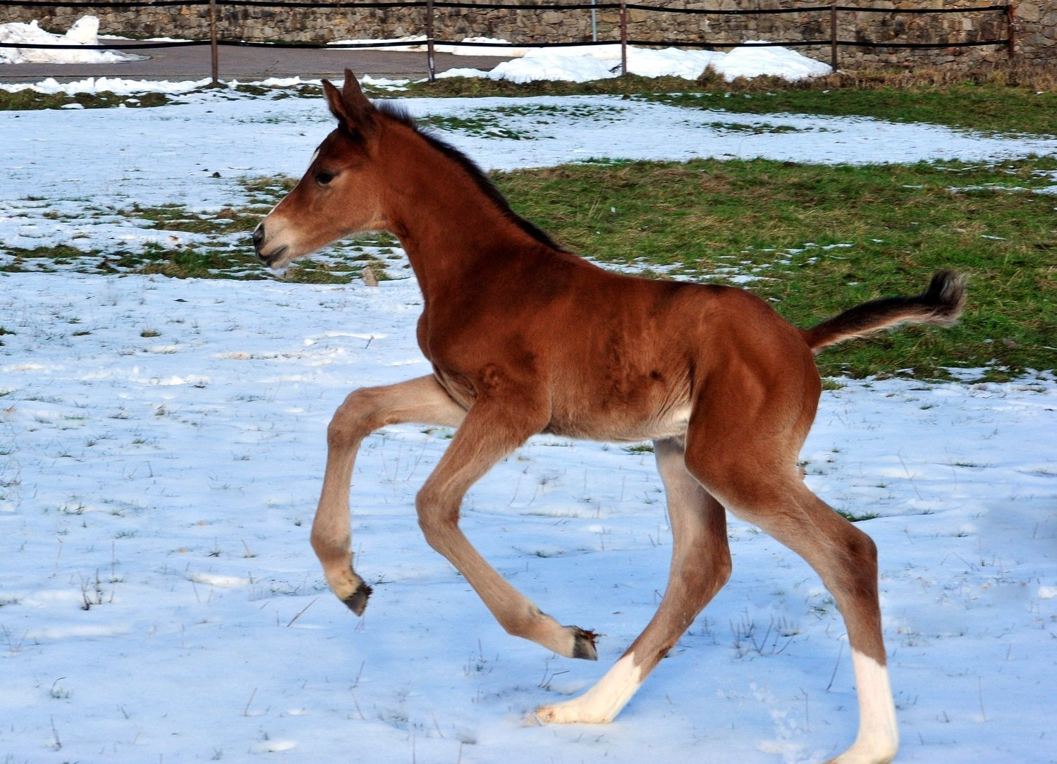 9. Februar 2026 in H�melschenburg - Foto: Beate Langels