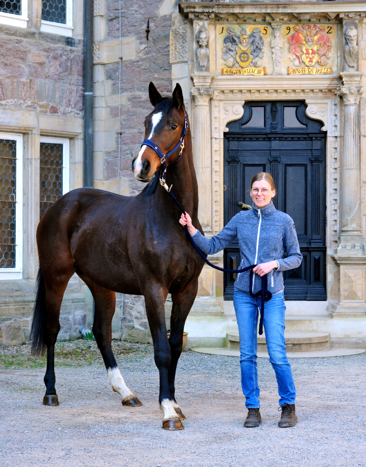 Trakehner von High Motion u.d. Val de Vienne v. Exclusiv - Foto Beate Langels