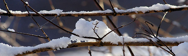 Winter 2009 - Foto: Beate Langels