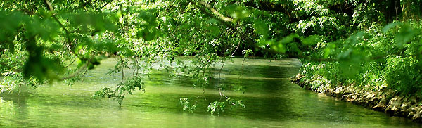 Die Emmer fließt ruhig daher - Trakehner Gestüt Hämelschenburg - Foto: Beate Langels