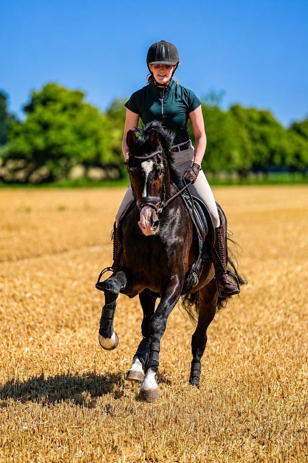 Prämienhengst Shavalou 25jährig und Johanna - Trakehner Gestüt Hämelschenburg - Foto Beate Langels