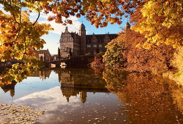 Schloss Hämelschenburg im Oktober - Trakehner Gestüt Hämelschenburg - Beate Langels