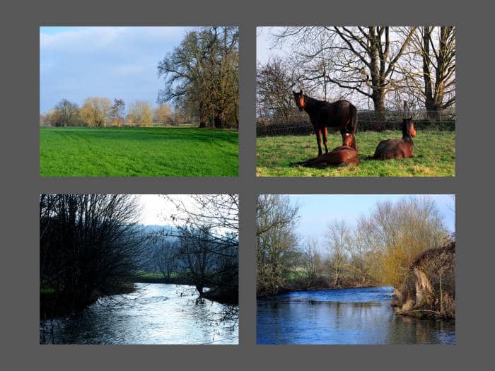 Auf der Hmelschenburger Feldweide - Fotos Beate Langels -  Trakehner Gestt Hmelschenburg