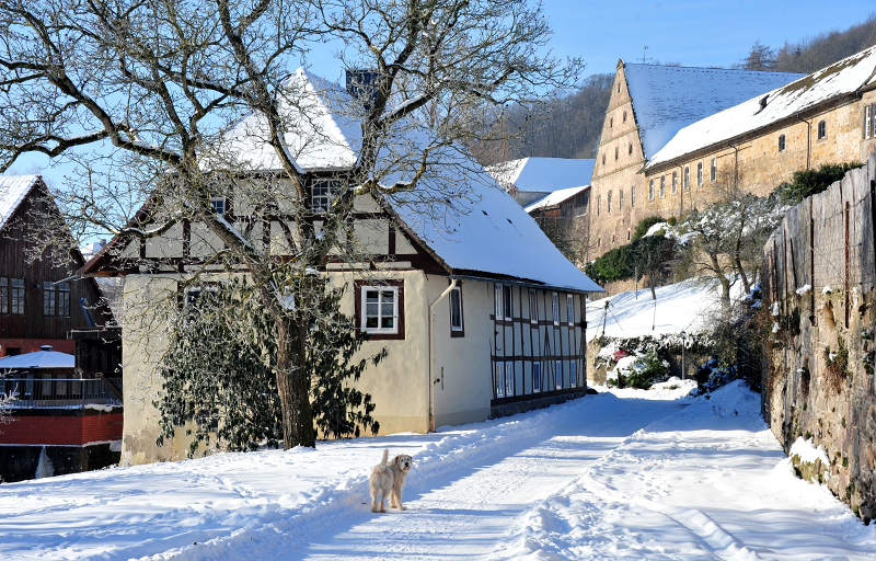 Das Emmerthal bei Hämelschenburg in klirrender Kälte - 14. Februar 2021 - Foto: Beate Langels - 
Trakehner Gestüt Hämelschenburg