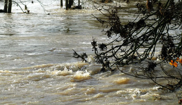 Hochwasser in Hämelschenburg im November 2010, Gestüt Hämelschenburg, Foto: Beate Langels