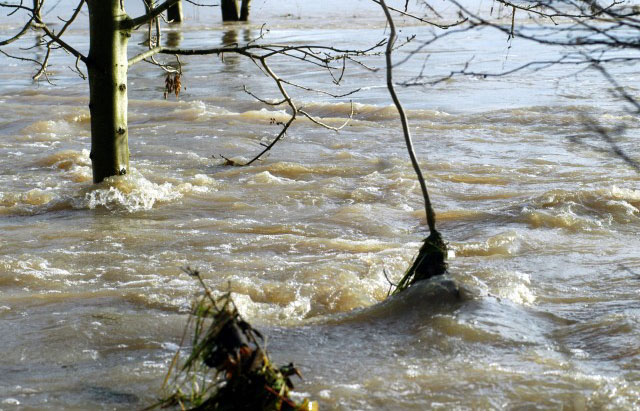 Hochwasser in Hämelschenburg im November 2010, Gestüt Hämelschenburg, Foto: Beate Langels
