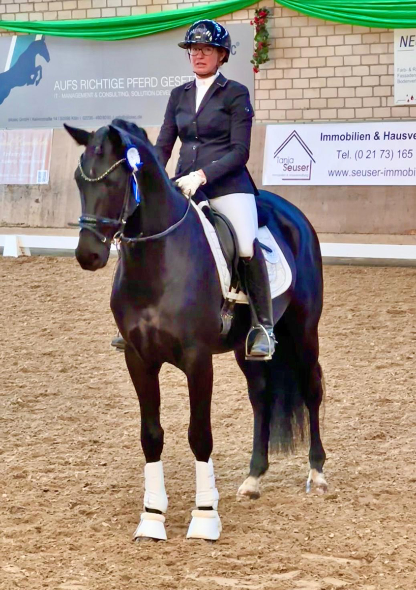 Karenio by Imperio out of Pr.u.StPrSt. Katniss Everdeen by Saint Cyr - Foto: Langels - Trakehner Gestt Hmelschenburg
