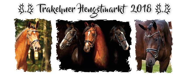 Trakehner Hengstmarkt in Neumünster 17.-21. Oktober 2018 - Trakehner Gestüt Hämelschenburg - Beate Langels