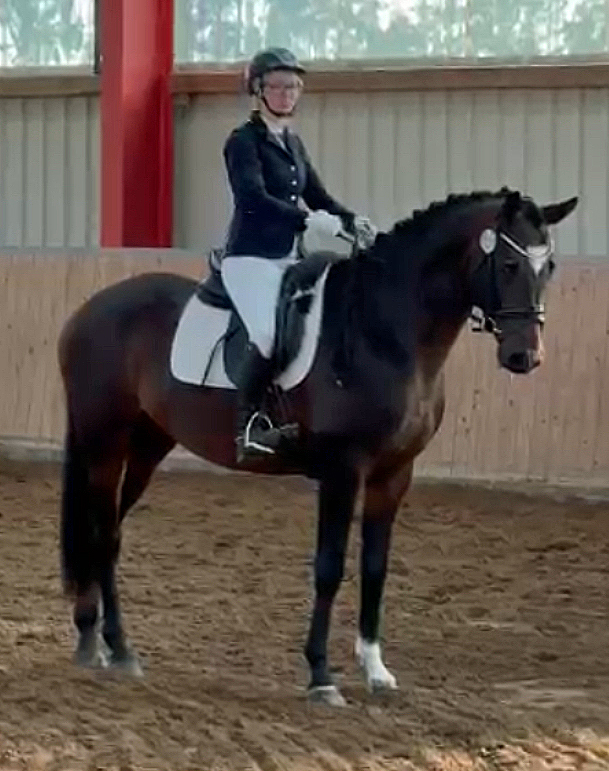 Gentle Motion v. High Motion 