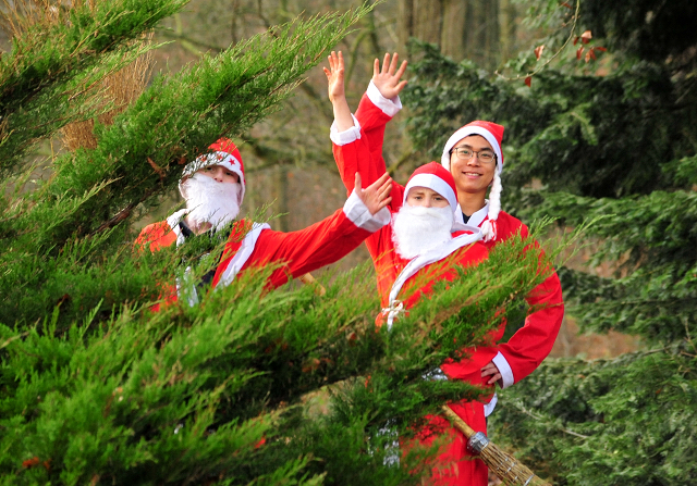 Die Weihnachts-Wichtel sind unterwegs - Trakehner Gestt Hmelschenburg - Beate Langels