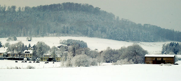Ein Winterspaziergang am 4. Advent im Trakehner Gestüt Hämelschenburg, Foto: Beate Langels