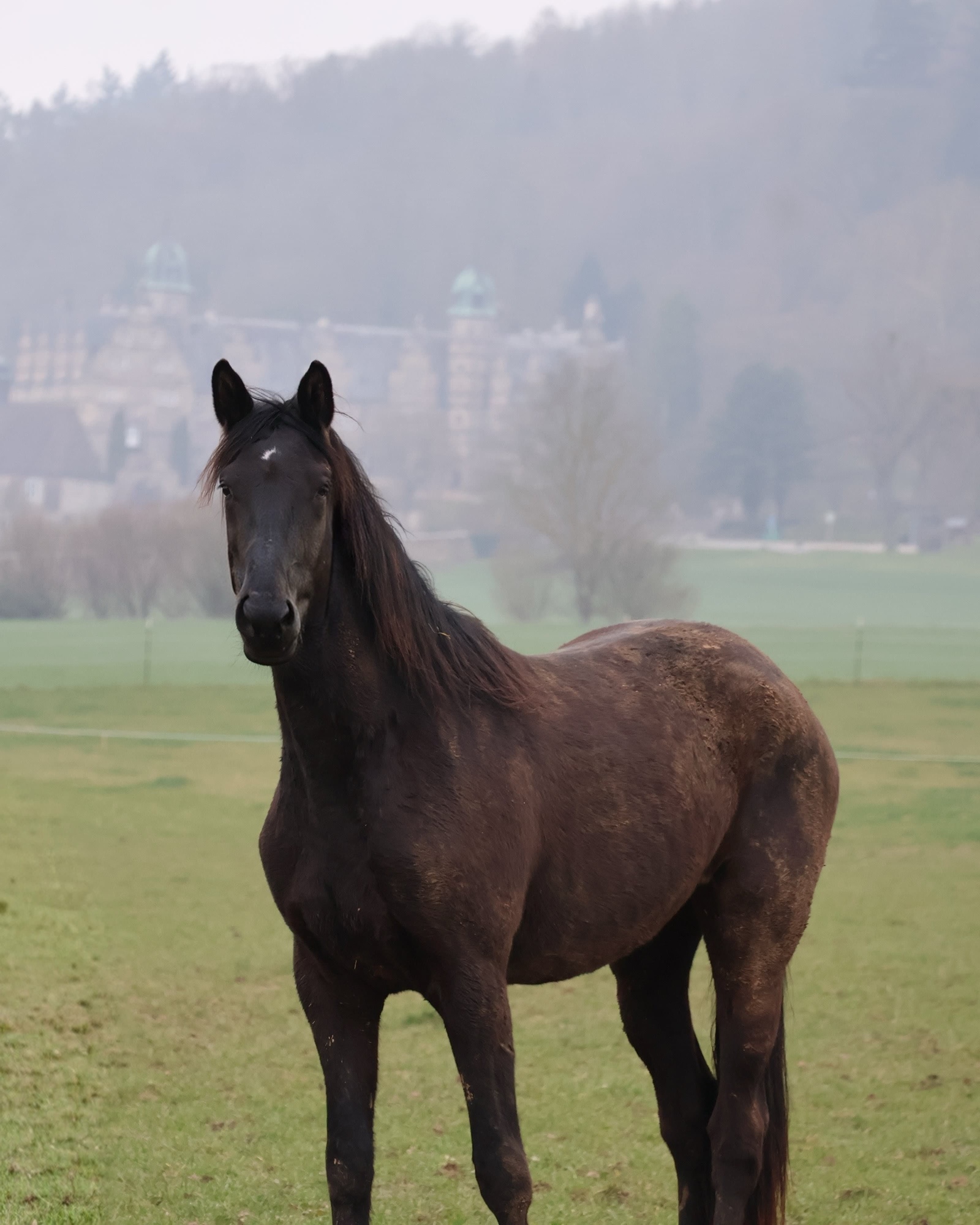 21.03.2026 auf der Feldweide - Foto: Sabine Beyer