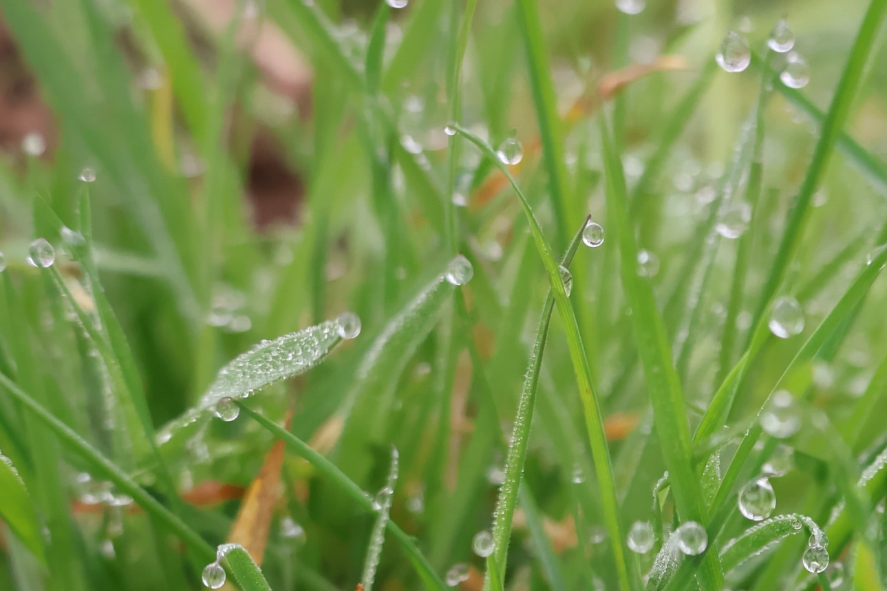 21.03.2026 auf der Feldweide - Foto: Sabine Beyer