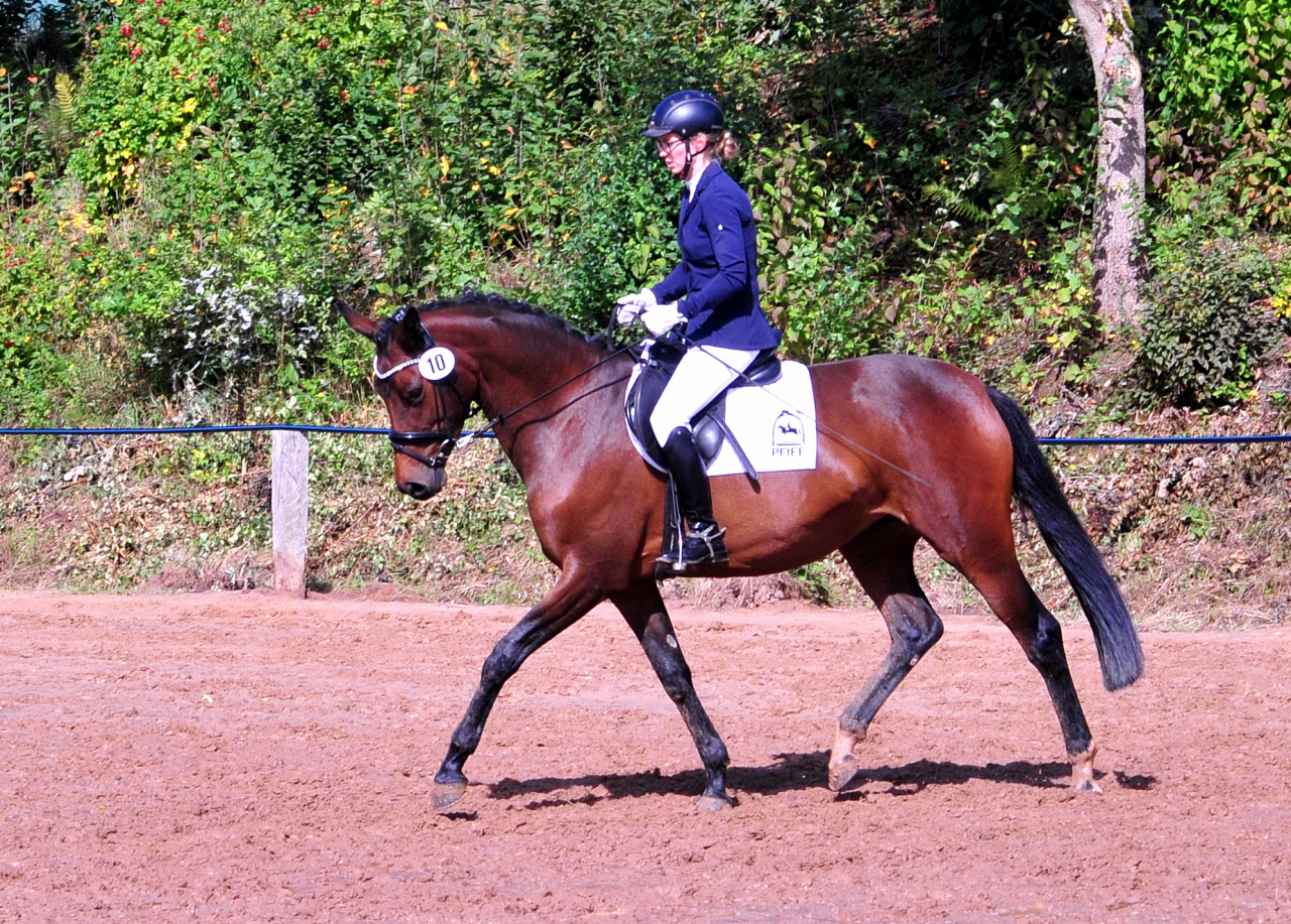 Schwalbe's Primavera v. Schpitzer u.d. Pr.St. Schwalbe's Beauty v. High Motion - Foto: Beate Langels