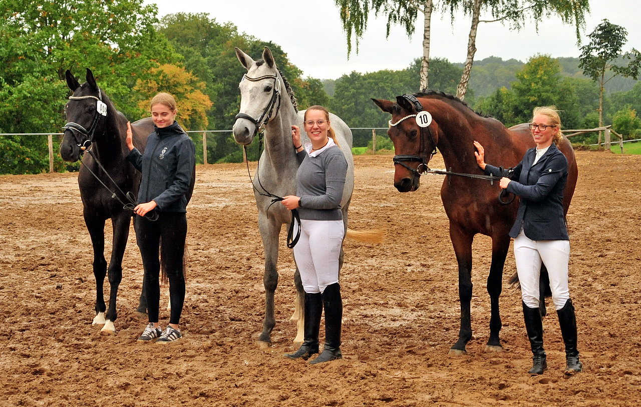 Schwalbe's Primavera v. Schpitzer u.d. Pr.St. Schwalbe's Beauty v. High Motion - Foto: Beate Langels