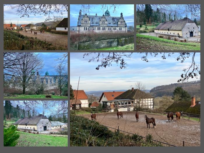 Hmelschenburg 22. Januar 2025 - Trakehner Gestt Hmelschenburg