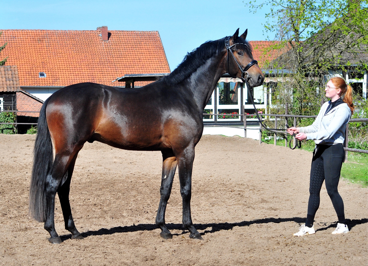 23. April 2026  - Gest�t H�melschenburg - Beate Langels - Foto Beate Langels
