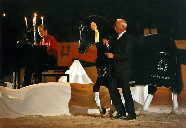 Trakehner Hengst KOSTOLANY von Enrico Caruso u.d. Kapstadt v. Falke - Trakehner Gestüt Hämelschenburg anlässlich der Galaschau in Neumünster 2009 - Foto: Tammo Ernst