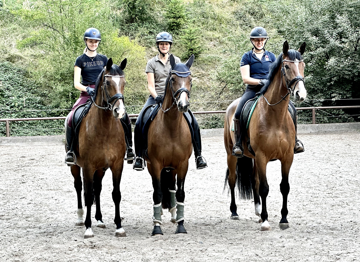 Tacyra mit Tochter Taluna und Sohn Tom Taylor - Foto: Beate Langels - Trakehner Gestt Hmelschenburg