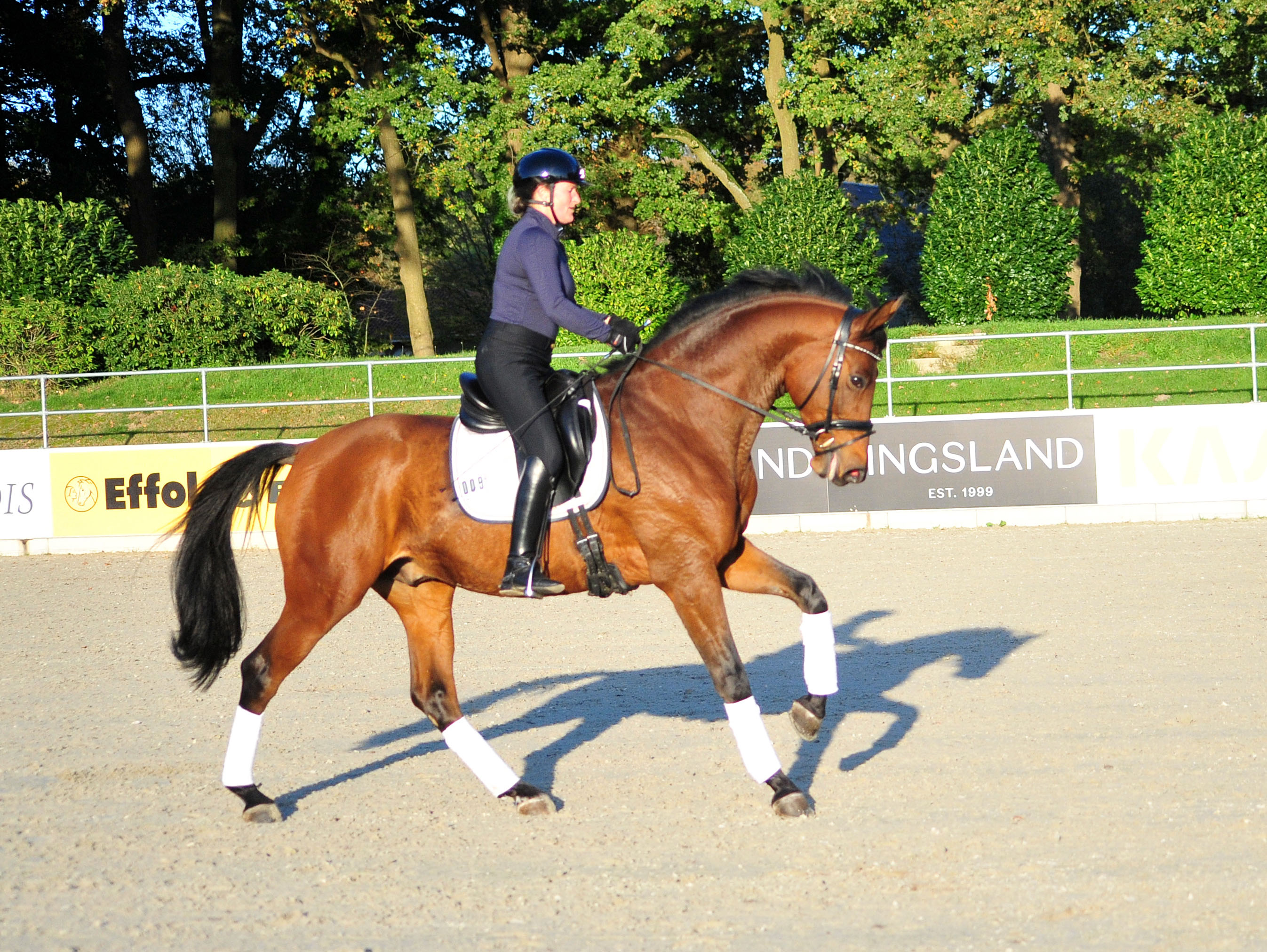 Iris und Saltazio v. High Motion 26./27. Oktober 2024 - Fotos Beate Langels