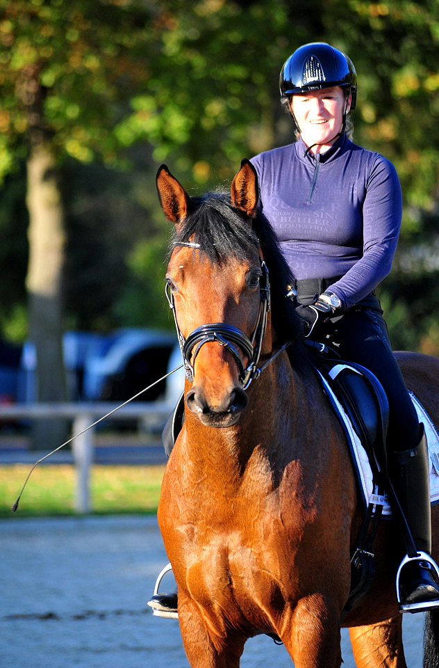 Trakehner Gestt Hmelschenburg - Beate Langels