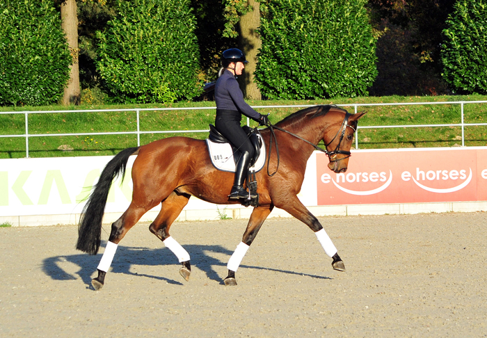 Iris und Saltazio v. High Motion 26./27. Oktober 2024 - Fotos Beate Langels