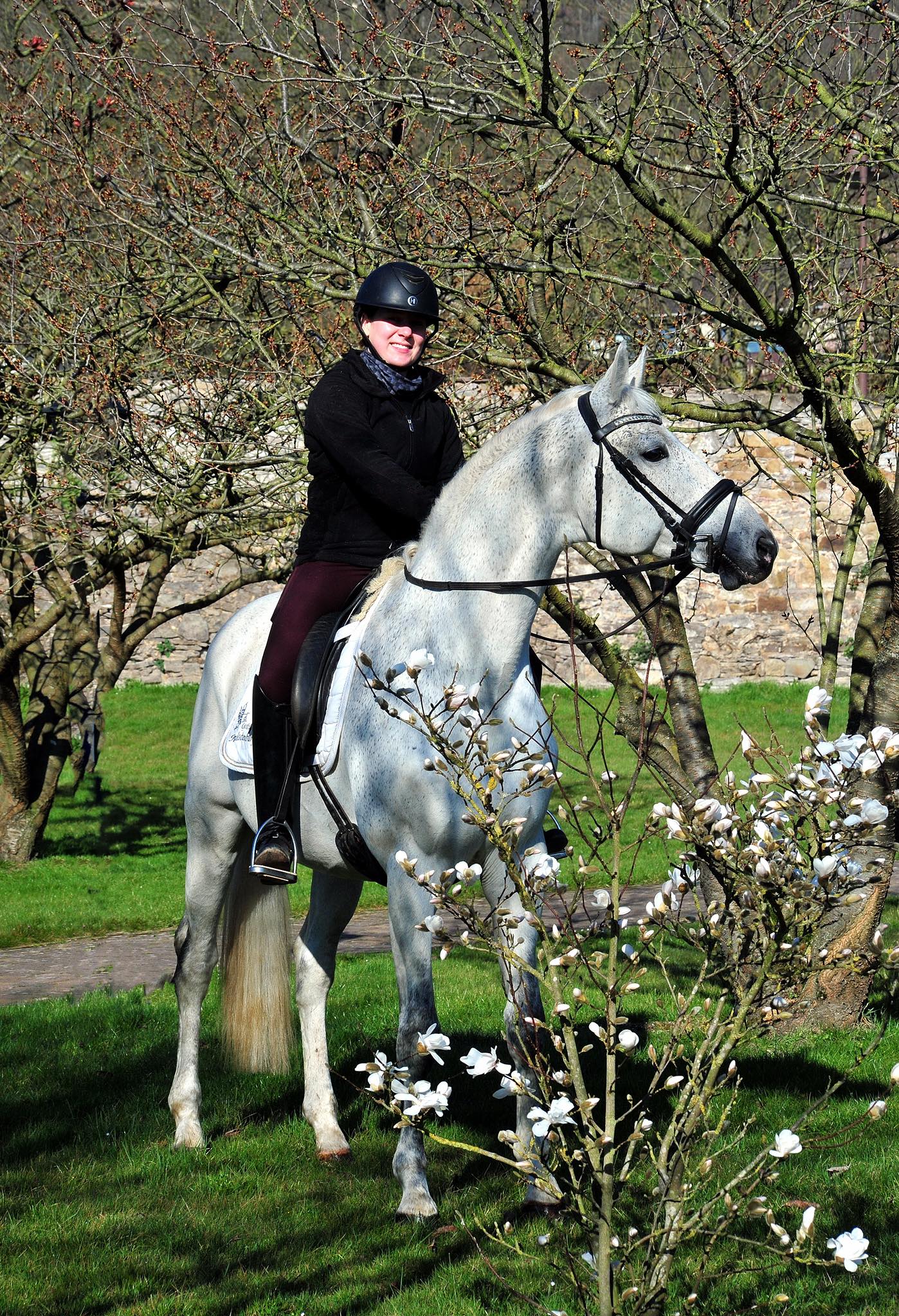 Hopkins unter dem Sattel von Georgia -  Gestt Hmelschenburg - Beate Langels