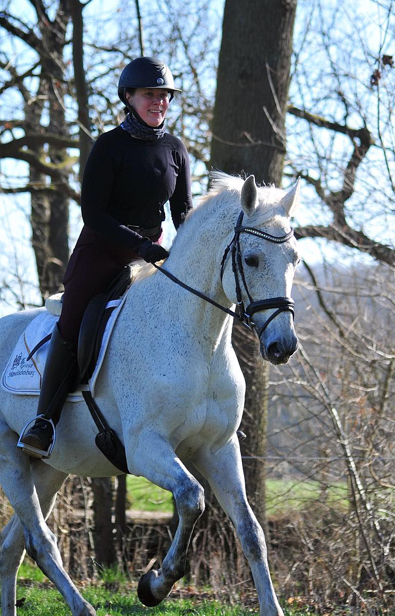 Impressionen - Mrz 2025 - Trakehner Gestt Hmelschenburg  - Foto: Beate Langels