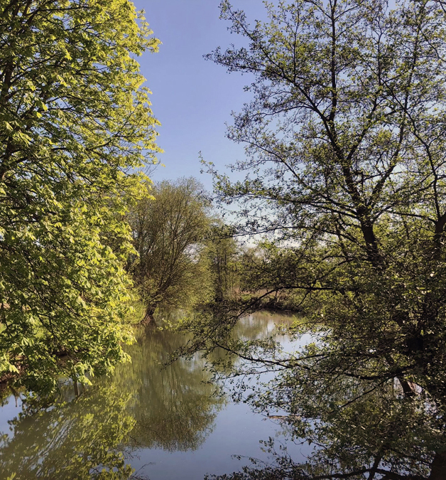 Impressionen - April 2025 - Trakehner Gestt Hmelschenburg  - Foto: Beate Langels