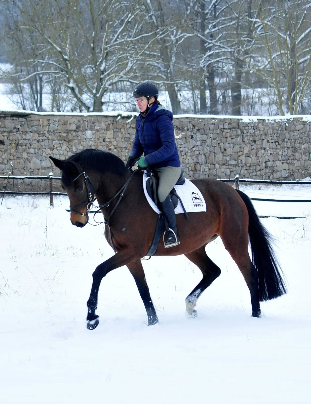 Schwalbe's Primavera v. Sch�pitzer v. Sch�pitzer u.d. Pr.St. Schwalbe's Beauty v. High Motion - Foto: Beate Langels