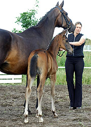 Piroschka by Kostolany with per colt by Summertime