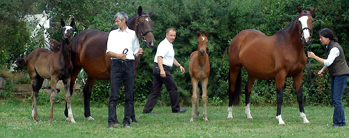Gloriette with her Champion Filly by Alter Fritz and Grazia Patricia with her Champion Colt by Shavalou