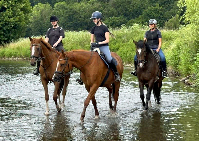 Impressionen - Juni 2025 - Trakehner Gestt Hmelschenburg  - Foto: Beate Langels