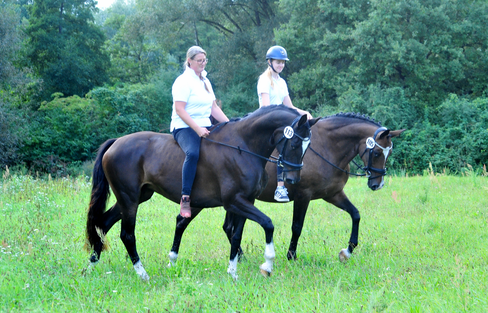 Glorya Gaynor und Tacyra Trakehner Bundesstutenschau Kranichstein 2025 - Foto: Beate Langels - Trakehner Gestt Hmelschenburg