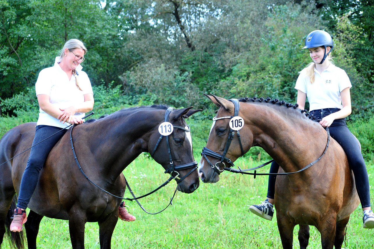Glorya Gaynor und Tacyra Trakehner Bundesstutenschau Kranichstein 2025 - Foto: Beate Langels - Trakehner Gestt Hmelschenburg